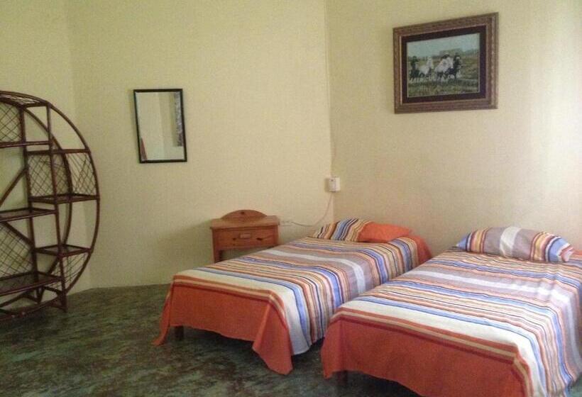 تختخواب در اتاق مشترک, Gipsy Ranch Rooms