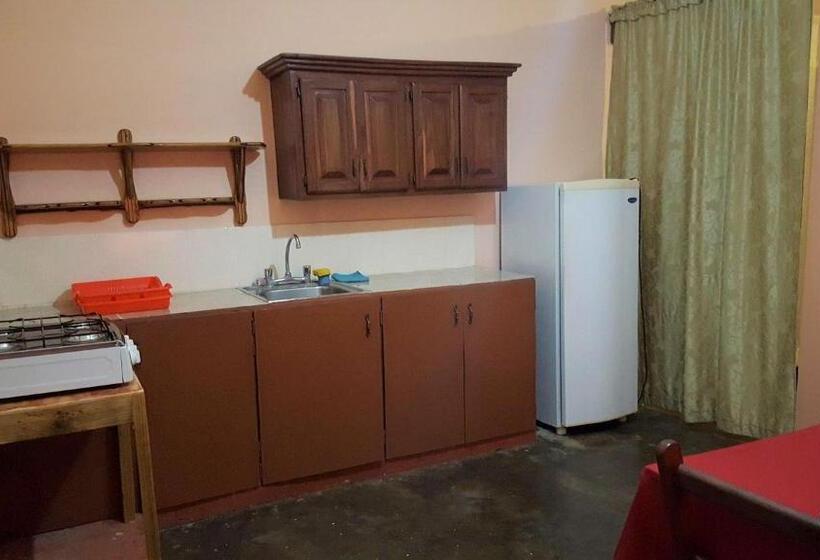 آپارتمان 1 خوابه, Gipsy Ranch Rooms