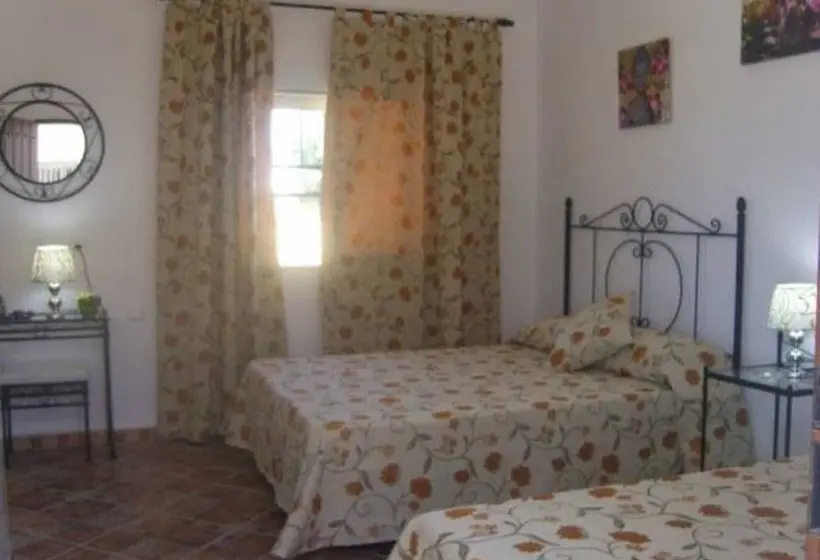 اتاق استاندارد, Hostal El Canario