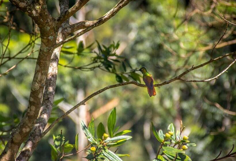 오두막, Pousada Moria