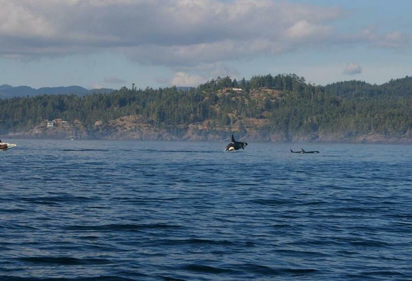 Standart Oda, Salty Towers Ocean Front Cottages