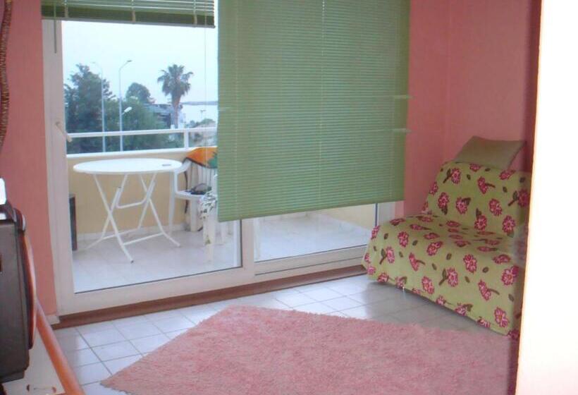 패밀리 룸, Yucesan