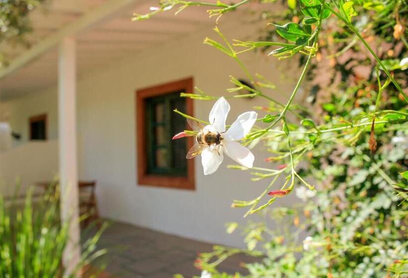 스탠다드 트리플 룸, Fazendinha