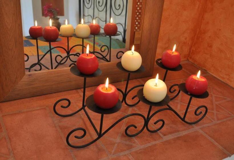 수피리어 룸, Fazendinha