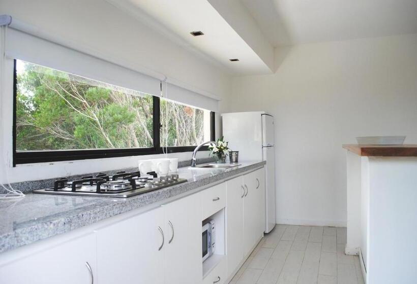 آپارتمان 2 خوابه, La Bonita Suites Punta Colorada