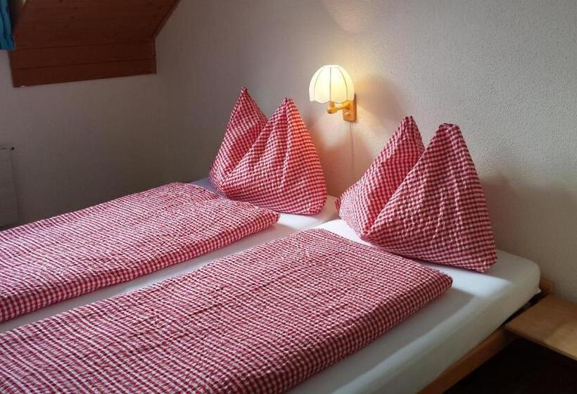 Номер Стандарт Совместная Ванная, Berggasthaus Tannalp