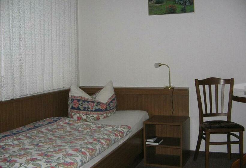 标准单人间, Pension City