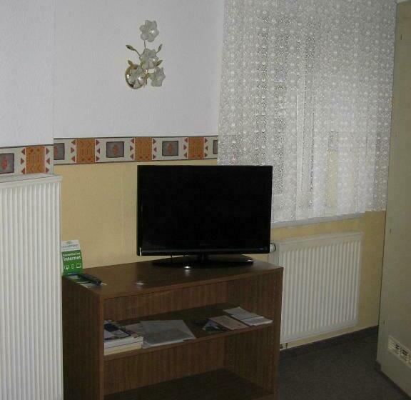 标准单人间, Pension City