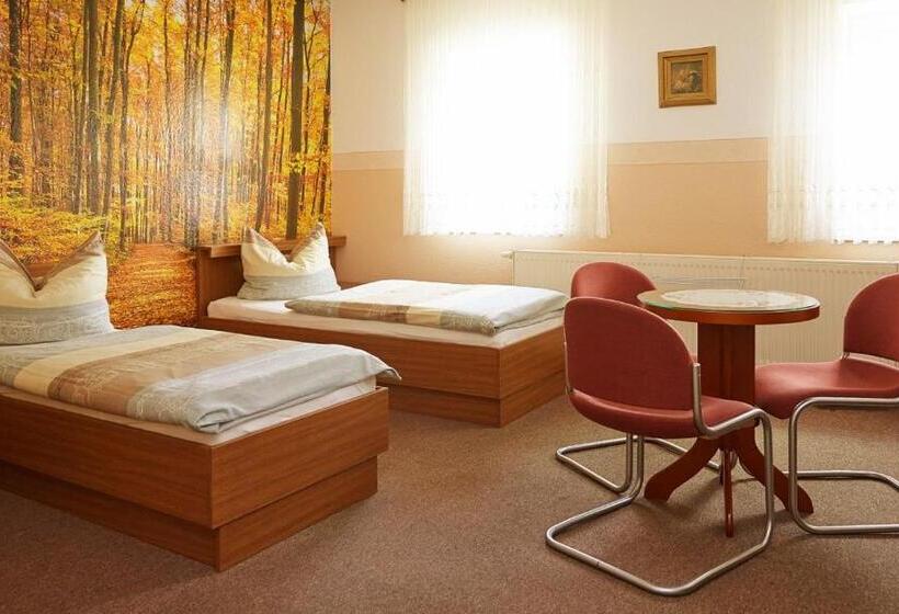 Номер Стандарт Трехместный, Pension City