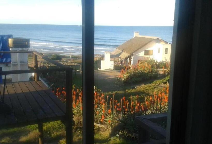 آپارتمان 1 خوابه, Ancora