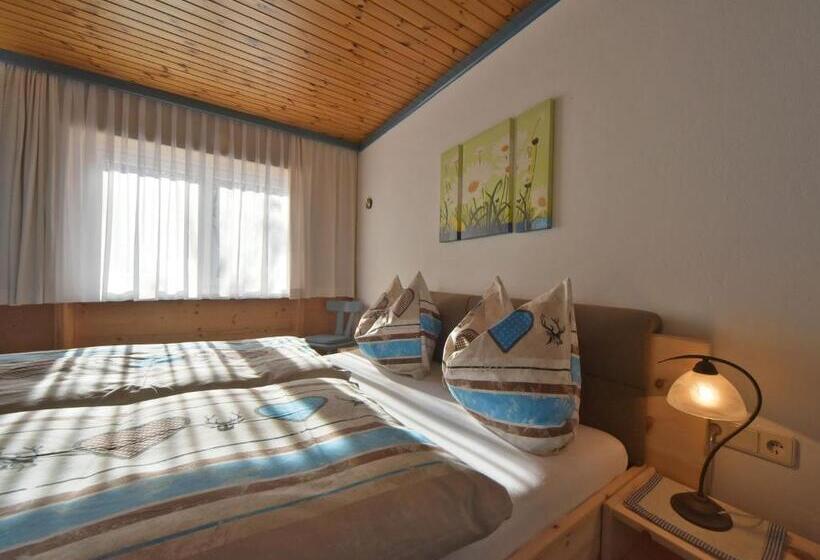 شقة غرفة واحدة, Haus Hasslacher