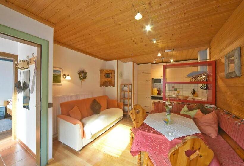 شقة غرفة واحدة, Haus Hasslacher