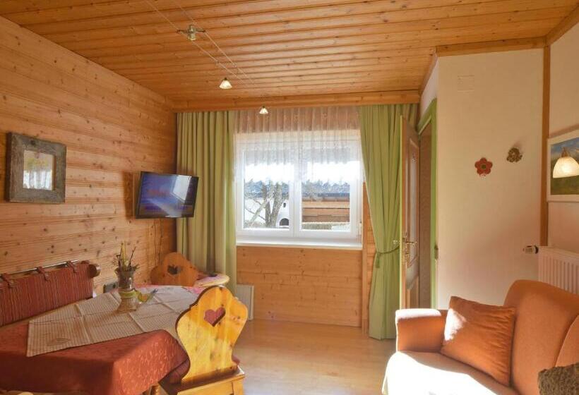 شقة غرفة واحدة, Haus Hasslacher