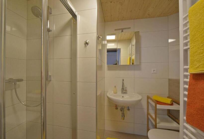 شقة غرفة واحدة, Haus Hasslacher