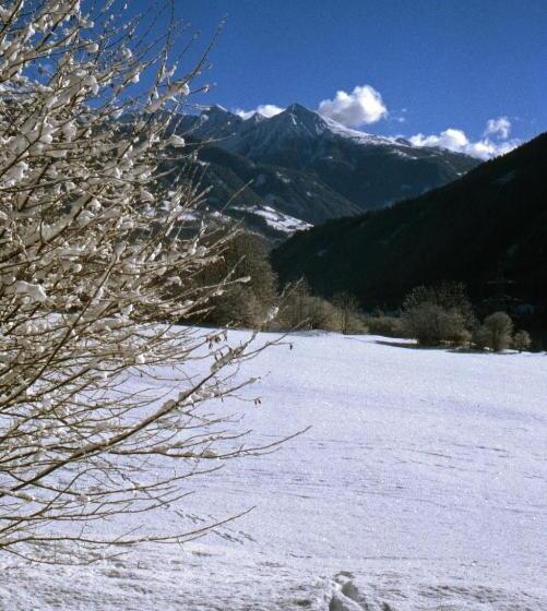 דירת חדר, Haus Hasslacher
