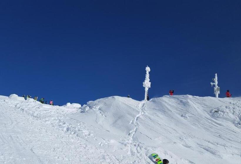 منزل 3 غرف نوم, Haus Hasslacher