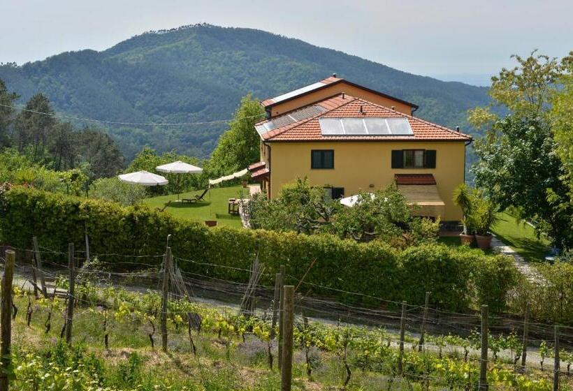 חדר סטודיו סטנדרד, Il Laghello Di Amina