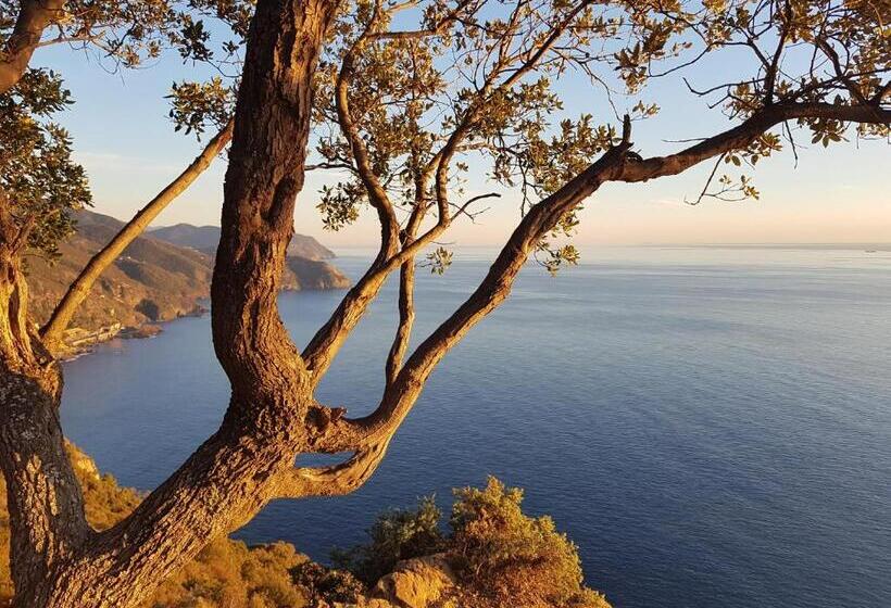 סטודיו קלאסי, Il Laghello Di Amina