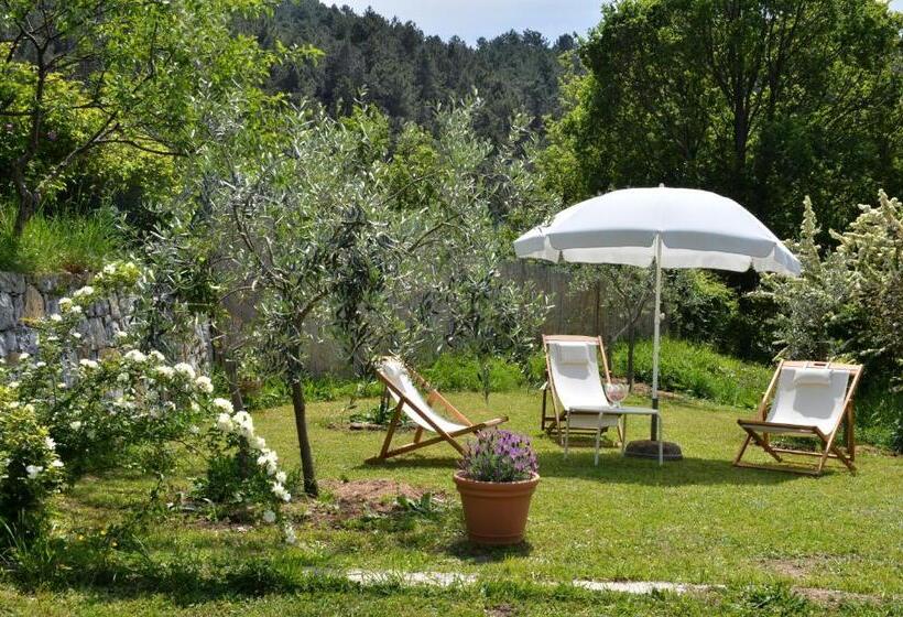 סטודיו קלאסי, Il Laghello Di Amina