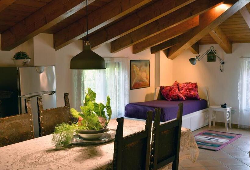 إستوديو كلاسيكى, Il Laghello Di Amina