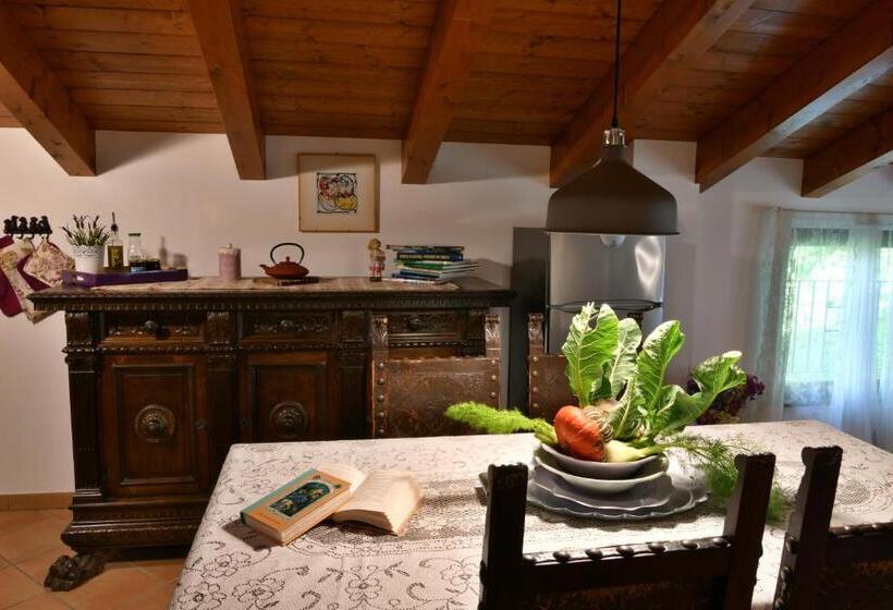 סטודיו קלאסי, Il Laghello Di Amina