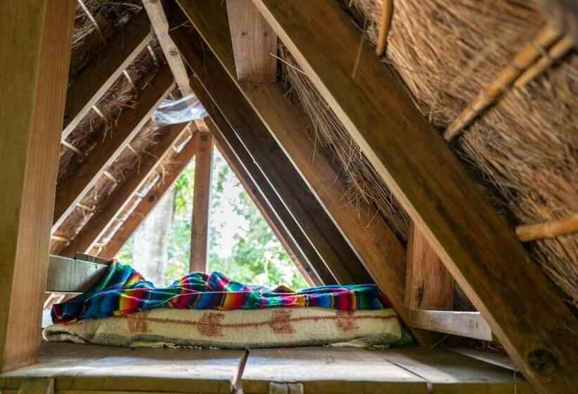 تختخواب در اتاق مشترک, La Iguana Perdida