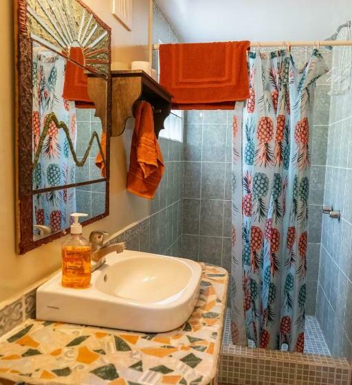 اتاق راحتی سه تخته, La Iguana Perdida