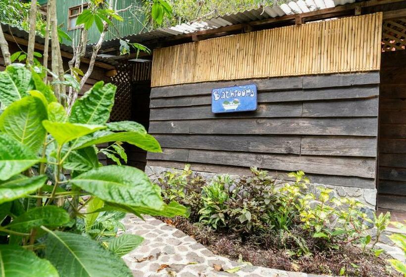 اتاق اکونومی, La Iguana Perdida