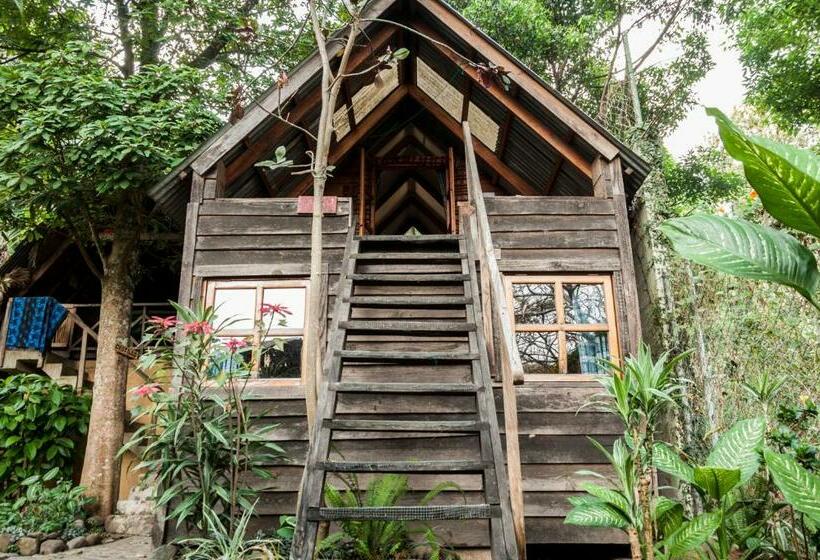 اتاق استاندارد با تراس, La Iguana Perdida