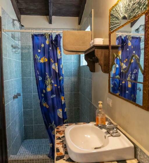 اتاق لوکس, La Iguana Perdida