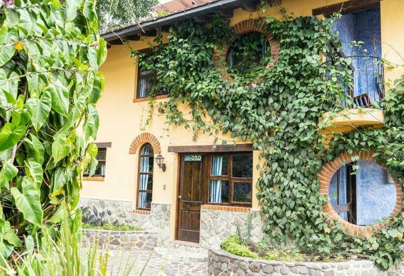 سوییت خانوادگی, La Iguana Perdida