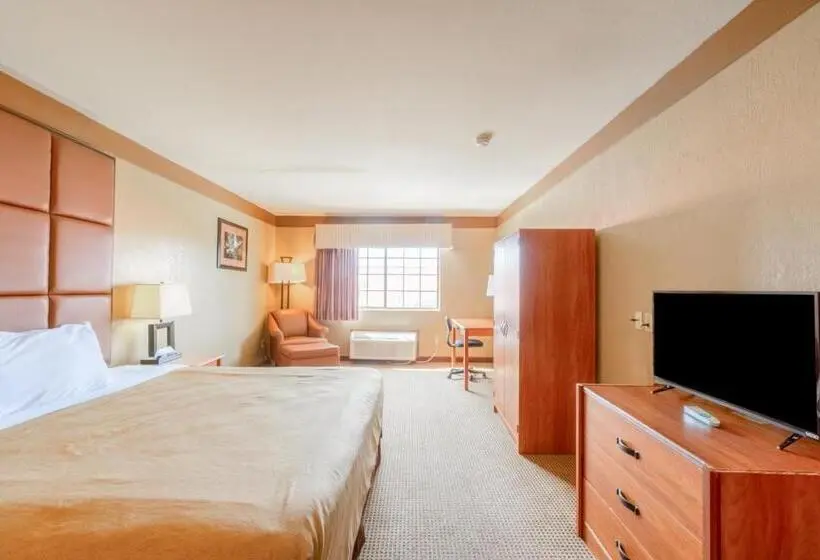 身障者適用キングサイズベッドルーム, Texan Inn By Oyo Beeville Us 181