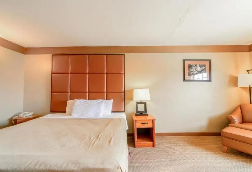 キングサイズベッドのスタンダードルーム, Texan Inn By Oyo Beeville Us 181
