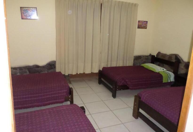 Geteiltes Mehrbettzimmer, Okidoki Cusco Hostal