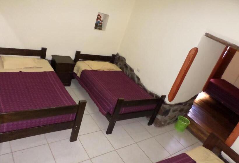 Geteiltes Mehrbettzimmer, Okidoki Cusco Hostal