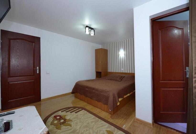 스탠다드 발코니 룸, Pensiunea Dana