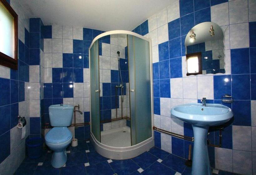 스탠다드 발코니 룸, Pensiunea Dana