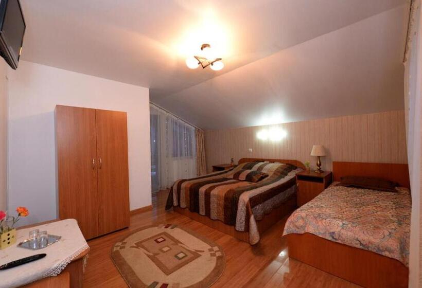 스탠다드 트리플 룸, Pensiunea Dana