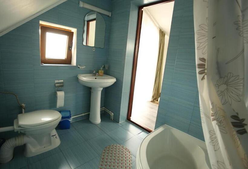 4인용 스탠다드 룸, Pensiunea Dana