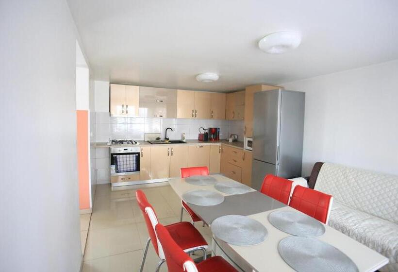 4인용 스탠다드 룸, Pensiunea Dana