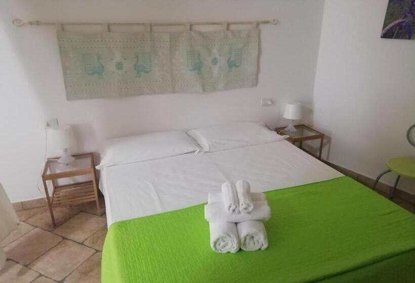 Студия Стандарт, B&b Acquamarina Villasimius