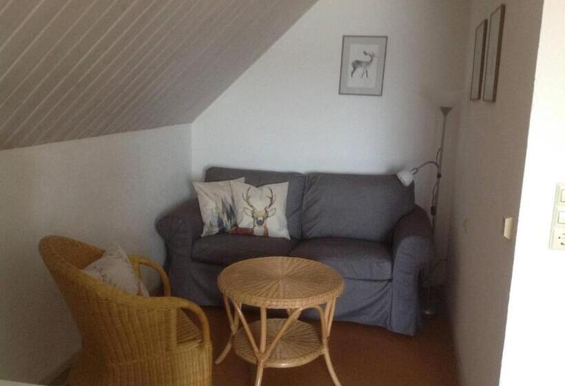 Апартаменты 1 Спальня, Zum Schwanen Garni