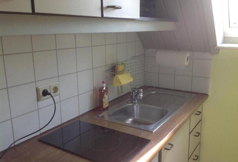 Апартаменты 1 Спальня, Zum Schwanen Garni