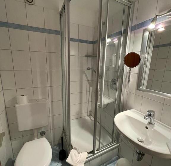 Номер Deluxe Одноместный, Zum Schwanen Garni