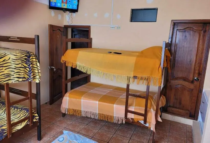 اتاق خانوادگی, Hostal Haziel