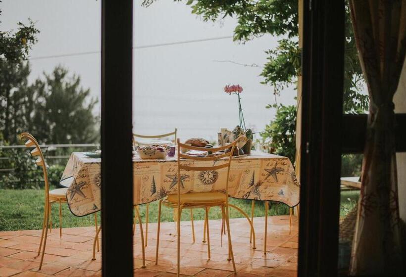 اتاق استاندارد, B&b Calandrella