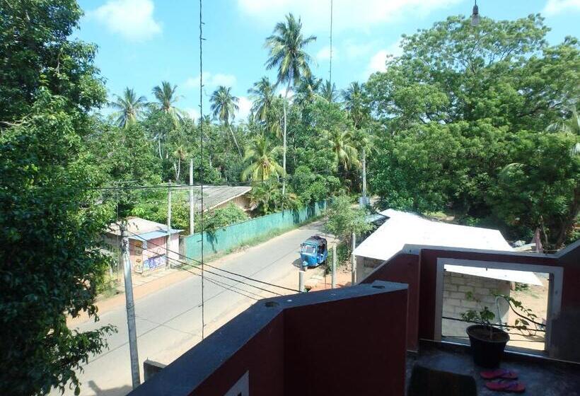 اتاق اکونومی, K Holiday