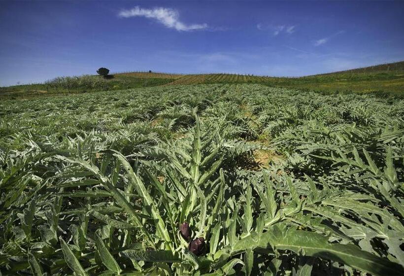 스탠다드 스튜디오, Cascina Al Colle