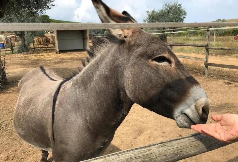 침실 1개 풀장 전망 아파트, Cascina Al Colle