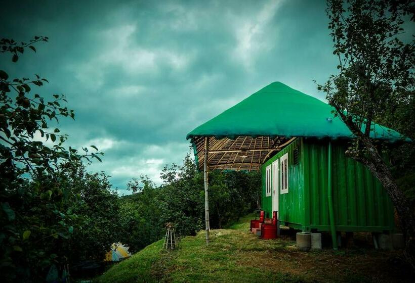 اتاق استاندارد با چشم‌انداز کوهستان, The Pear County